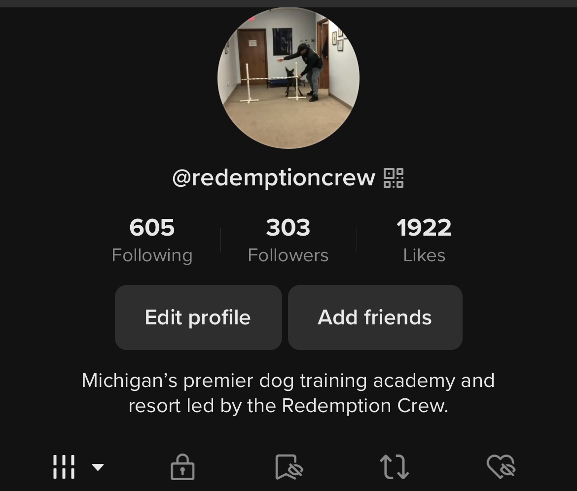 Mid-Michigan K9 before